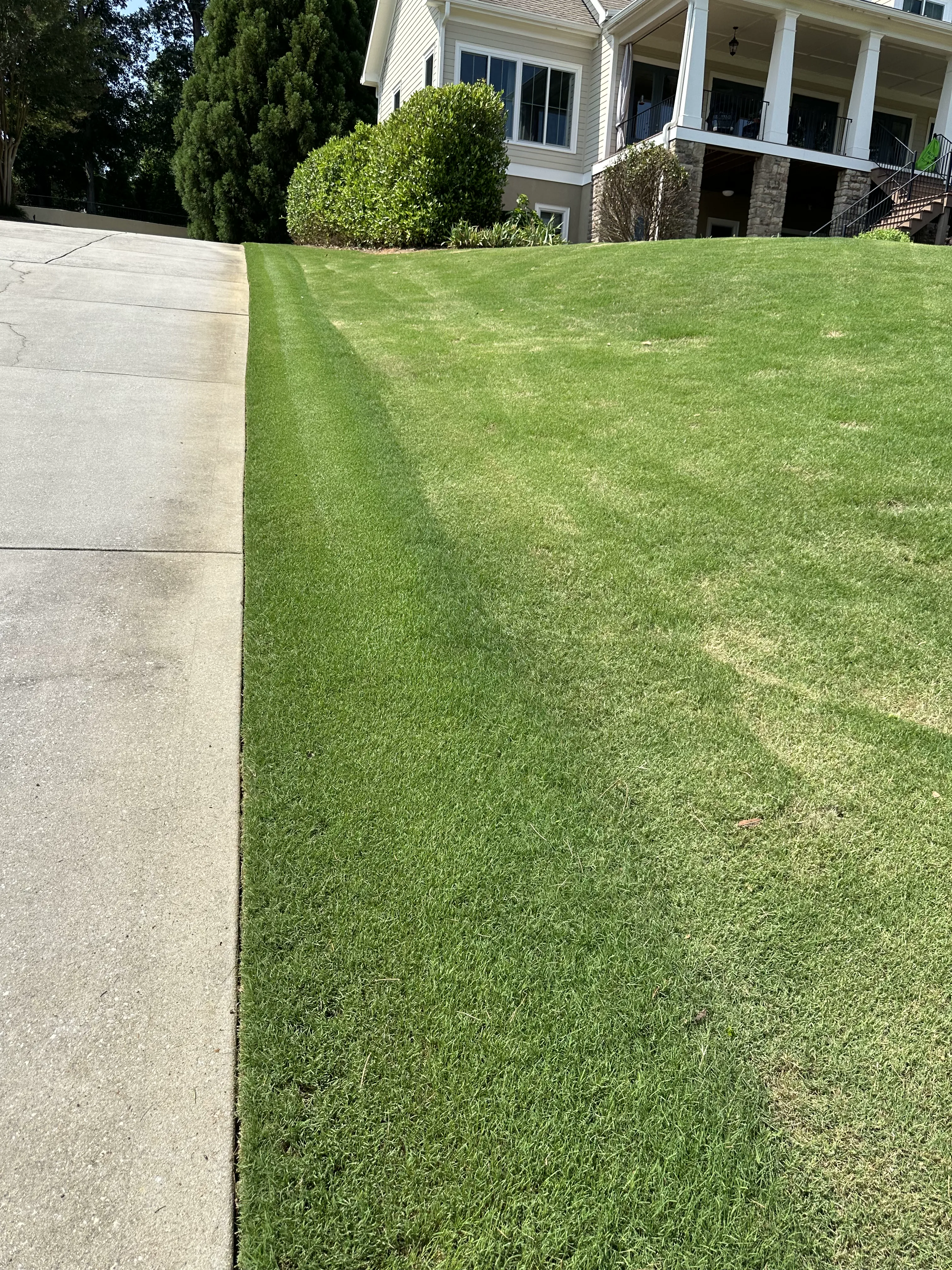 Precise lawn edging and trimming services Newnan GA