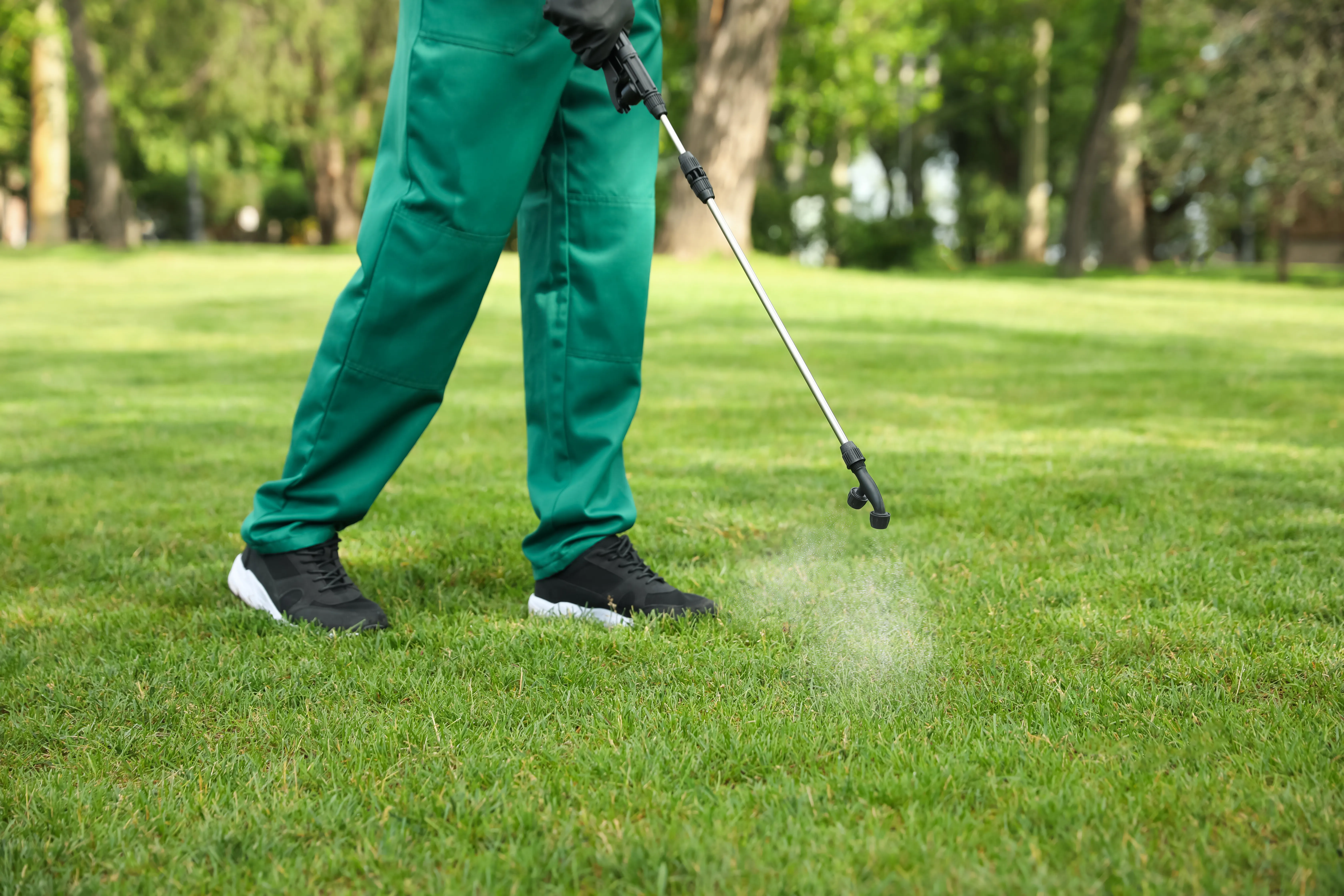 Professional weed spraying and control in Newnan GA residential yard